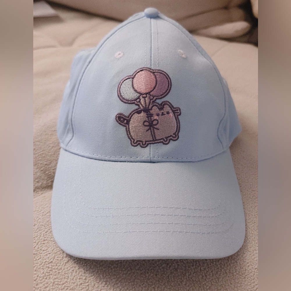 🎈Pusheen Box 2025 Spring Embroidered Hat